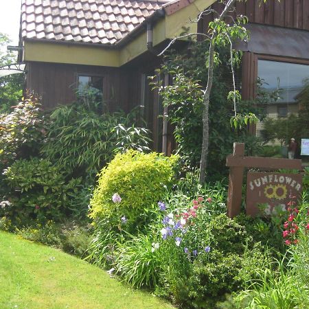 Sunflower Bed&Breakfast Findhorn Exterior foto